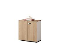 LJHFG63KUYT Organizer Mobiletto portaoggetti corto for ufficio, portadocumenti a doppia anta con serratura, contenitore in legno Documenti
