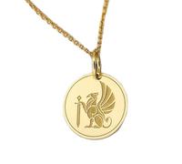 LKBEADS Collana argento sterling 925 30 mm catena 18 pollici gioielli con nella mitologia greca leone e aquila greco antico placcatura oro|LKRPG_00140