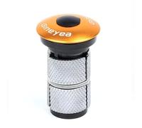 LKfjnhePF Serie Sterzo Bici Auricolari in Carbonio 28.6mm Tappo Superiore Vite Chiave Expander in Lega di Alluminio 1 1/8 Steerer Spina MTB Forcella della Bicicletta Strada Parte(Gold)