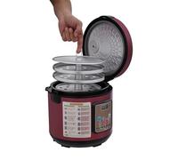 LKHDONG Fermentatore di aglio nero fermentatore automatico 5/6L fermento allo yogurt intelligente Aglio nero fermentato 50-85℃ pentola di aglio fermentazione 90W (viola, 5L)