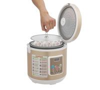 LKHDONG Fermentatore di aglio nero fermentatore automatico 5/6L fermento allo yogurt intelligente Aglio nero fermentato 50-85℃ pentola di aglio fermentazione 90W (oro, 6L)