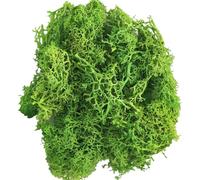 LKXHarleya 500 g Pianta Artificiale, Erba di Muschio Artificiale per Matrimoni, Feste, composizioni Floreali all'aperto, Decorazioni murali per la casa, Fai da Te, Verde