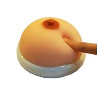 LKYLVEE Flesh,13cm, Modello di Simulazione del Seno - Modello didattico di Formazione per L'Allattamento al Seno Falso - per l'istruzione, Strumento didattico per L'Allattamento