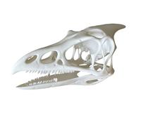 LKYLVEE Fossile di Cranio di pterosauro - Esemplare fossile di Ossa di pterosauro - Statua Artigianale in Resina di Ossa di Dinosauro T-Rex,Bianca,10cm