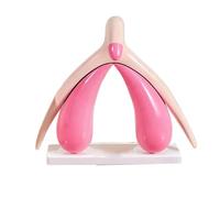 LKYLVEE Modello Anatomico del Clitoride e dell'Utero Umano, Modello del Clitoride, per Educazione Scientifica Medica e Decorazione in Medicina Estetica,Rosa,16cm