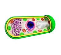 LKYLVEE Modello anatomico di Cellule vegetali Modello Biologico di Cellule vegetali Attrezzature didattiche per scopi di Laboratorio e di Ricerca,Blu,13cm
