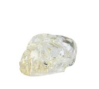 LKYLVEE Modello Dentale Trasparente per Cani e Gatti, Mascella di Coniglio, Strumento Educativo per la Mostra Anatomica dei Denti,Cat Head
