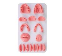 LKYLVEE Modello di Formazione per sutura Orale Modello di Formazione per Combinazione Dentale per Formazione su sutura per Infermiere dentico,Rosso,31cm