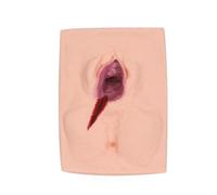 LKYLVEE Modello di Pratica per Incisione della Vulva Femminile e Sutura Perineale, Simulatore di Sutura della Vulva, Simulatore di Pratica per l'Insegnamento di Ginecologia a Studenti