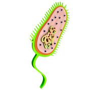 LKYLVEE Modello procariotico - Stampa 3D Modello procarioti - per apparecchiature didattiche di biologia,Verde