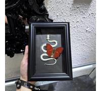 LKYLVEE Scheletro di Serpente Vero con Farfalla tassidermica incorniciata in Cornice di Vetro per Decorazione murale, Arte entomologica Gotica Unica per casa o Ufficio