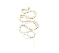 LKYLVEE Tassidermia Animali Veri Scheletri di Serpente Teschi, Specimen di Scheletro di Serpente a Corpo Intero, Materiale di Tassidermia per l'Educazione Scientifica, Regalo Speciale,Bianca,70cm