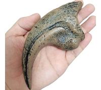 LKYLVEE Velociraptor Dinosauro A Grandezza Naturale Artiglio Fossile Replica Dinosauro Fossile Replica Decorazione per Home Office Decor Craft Insegnamento Prop,Marrone,14cm