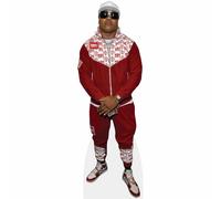 LL Cool J (Red Outfit) mini formato