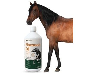 lLab-v Flaxseed Oil - Olio di semi di lino 100% spremuto a freddo per cavalli 1000 ml