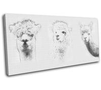 Llama Alpaca Drawing Simple Animals SINGLE TELA parete arte foto stampa