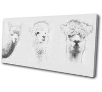 Llama Alpaca Drawing Simple Animals SINGLE TELA parete arte foto stampa