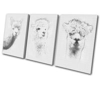 Llama Alpaca Drawing Simple Animals TREBLE TELA parete arte foto stampa
