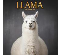 Llama Calendar 2026: Cute, Fluffy & Colorful Llamas for a Joyful Year