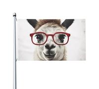 Llama con occhiali bandiere per esterni 9,6 x 1,5 m, bandiera stagionale da giardino con occhielli bandiera esterna per decorazioni per la casa sfondo fotografico