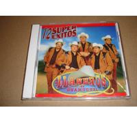Llaneros de Guamuchil - 12 Super Exitos