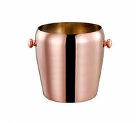 Llazsybz Secchiello Portaghiaccio in Acciaio con Due Maniglie E Design Elegante per Il Raffreddamento di Champagne E Riunioni tra Amici, Argento, 1L