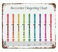 LLBOGRGGN Educational Recorder Finger Placement Chart Metal Tin Sign for Music Classroom Practice Studio Teaching Aid Wall-Art 8 X 12 inch