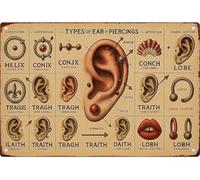 LLBOGRGGN Piercing Reference Chart Metal Sign Humorous Wall-Art for Bedroom Vanity Salon Dressing Room 8 X 12 in