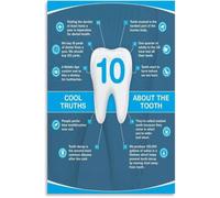 LLBOGRGGN Tooth Knowledge Poster Decor Science Classroom | Surprising facts about tooth strength saliva and teeth(Framed,16x24inch(40x60cm))