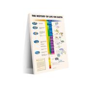 LLBOGRGGN Vintage Science Education Poster - Earth's Geological Timeline & Evolution of Life Chart, Unframed Print for Enthusiasts and Home School(Framed,12x18inch(30x45cm))