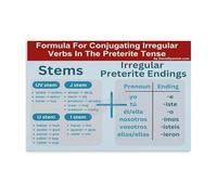 LLBOGRGGN Vintage Style Spanish Language Learning Poster Metal Sign with Preterite Tense Verbs for School Study Room Wall-Art 8 X 12 inch