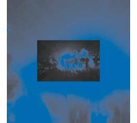 Llewellyn - Recapture The Past