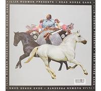 Llija Rudman( Presents Dead Horse Gang) - Where Wild Horses Go