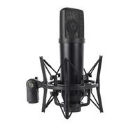 LLINthy Microfoni a condensatore a diaframma in metallo per applicazioni audio professionali e streaming Microfoni per streaming live