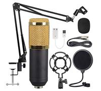 LLINthy Microfono a condensatore professionale Studio Anti-vento Schiuma Cap Mic Clear Plosiv-free Vocal Performance Microfoni Per Canto