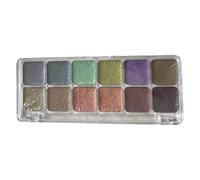 LLINthy Set di pittura ad acquerello in 12 colori Set di pittura ad acquerello solido Facile da usare pigmento perlato per lezioni d'arte di artisti