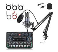 LLINthy Set di schede audio con microfono a condensatore, tipo C in tempo reale, professionale, per streaming podcasting, uso microfono a condensatore