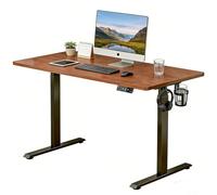 LLNWDNB Scrivania Regolabile in Altezza Elettrica con Pannello Intelligente 3 Memorie Motore Singolo Scrivania Elettrica,Tavolo con Supporto Cuffie/Portabicchiere per Ufficio A,100CM