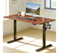 LLNWDNB Scrivania Regolabile in Altezza per Ufficio e Computer con Pannello Intelligente 3 Memorie Scrivania Elettrica,Tavolo con Supporto Cuffie/Portabicchiere per Ufficio B,120CM