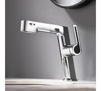 llOut Spruzzatore Bagno Rubinetto Singola Maniglia Lavandino Rubinetto per Lavaggio dei Capelli Controsoffitto Pulizia Pet BathingModern Grigio Design