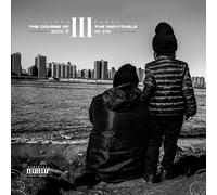 Lloyd Banks The Course of the Inevitable 3: Pieces of My Pain (Vinyl LP)
