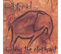 Lloyd, Bill - Feeling The Elephant
