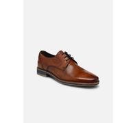 Lloyd - LANGSTON Marrone - Scarpe con lacci 42 Marrone