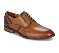Lloyd Scarpe DOMINO in Marrone 41