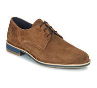 Lloyd Scarpe LANGSTON in Marrone 42