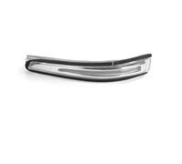 LLQJTC Indicatore Direzione Auto Per Hyundai Per Santa Per Fe 2014-2019 Auto Specchietto Retrovisore LED Indicatori Direzione Lampada 87623B8000 87613B8000(1pc Left)