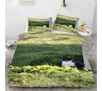 LLSZAHD Copripiumino Matrimoniale 200x250 cm Gatto Bianco E Nero Biancheria da Letto 3 Pezzi Grassland Set Copripiumino in Microfibra con Cerniera Traspirante Copri Piumino + 2 Federe 50x80 cm