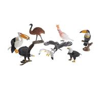 LLTCMYGS Giocattoli per Modelli di Uccelli in plastica Montessori, Set educativo di repliche realistiche di Modelli di Animali
