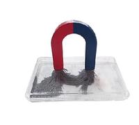 LLTCMYGS Giocattolo Set di Scatole di Polvere Magnetica Montesson, Un Piccolo Esperimento Scientifico di Esplorazione Magnetica