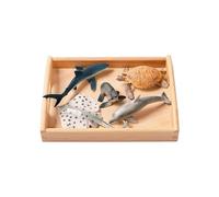 LLTCMYGS Modello di Animale Marino Simulato Set di Strumenti Didattici, Ornamenti in Mini Modello di Animale Marino Montessori